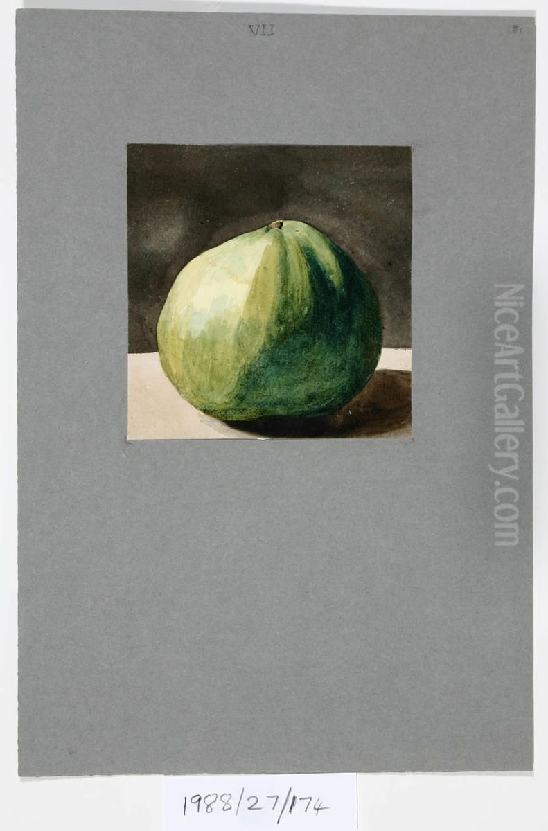 Untitled (Apple) Oil Painting by Vivian Smith