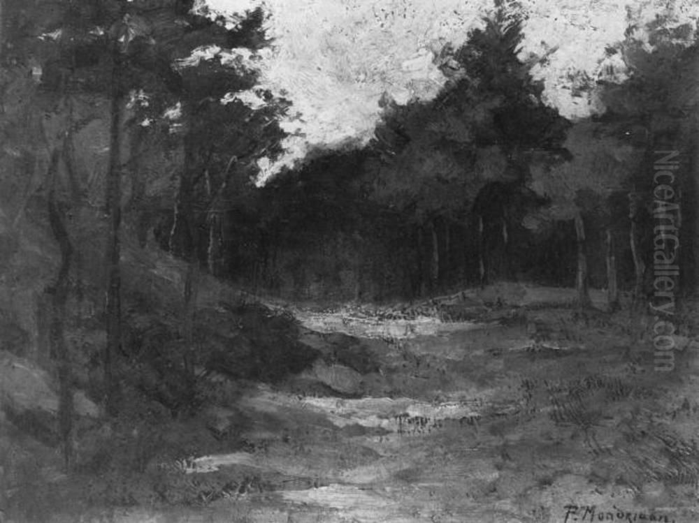 Wood near Driebergen Oil Painting by Piet Mondrian