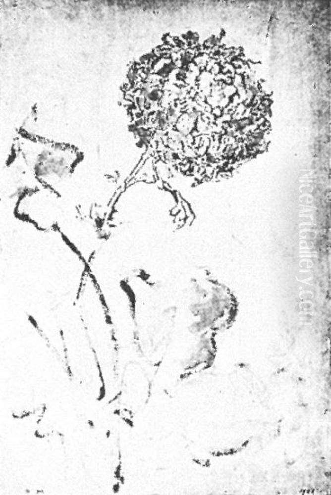 Chrysanthemum Oil Painting by Piet Mondrian