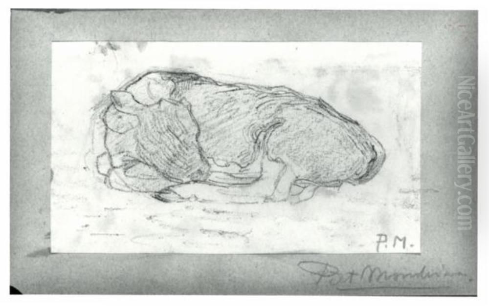 Sketch of a calf lying down Oil Painting by Piet Mondrian