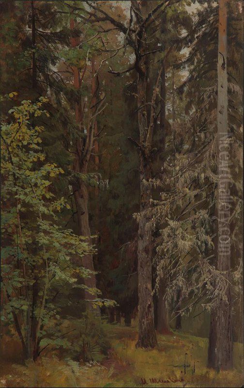 <<Smesannyj les>> Oil Painting by Ivan Shishkin