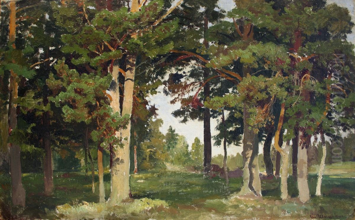 Forest. Study Oil Painting by Ivan Shishkin