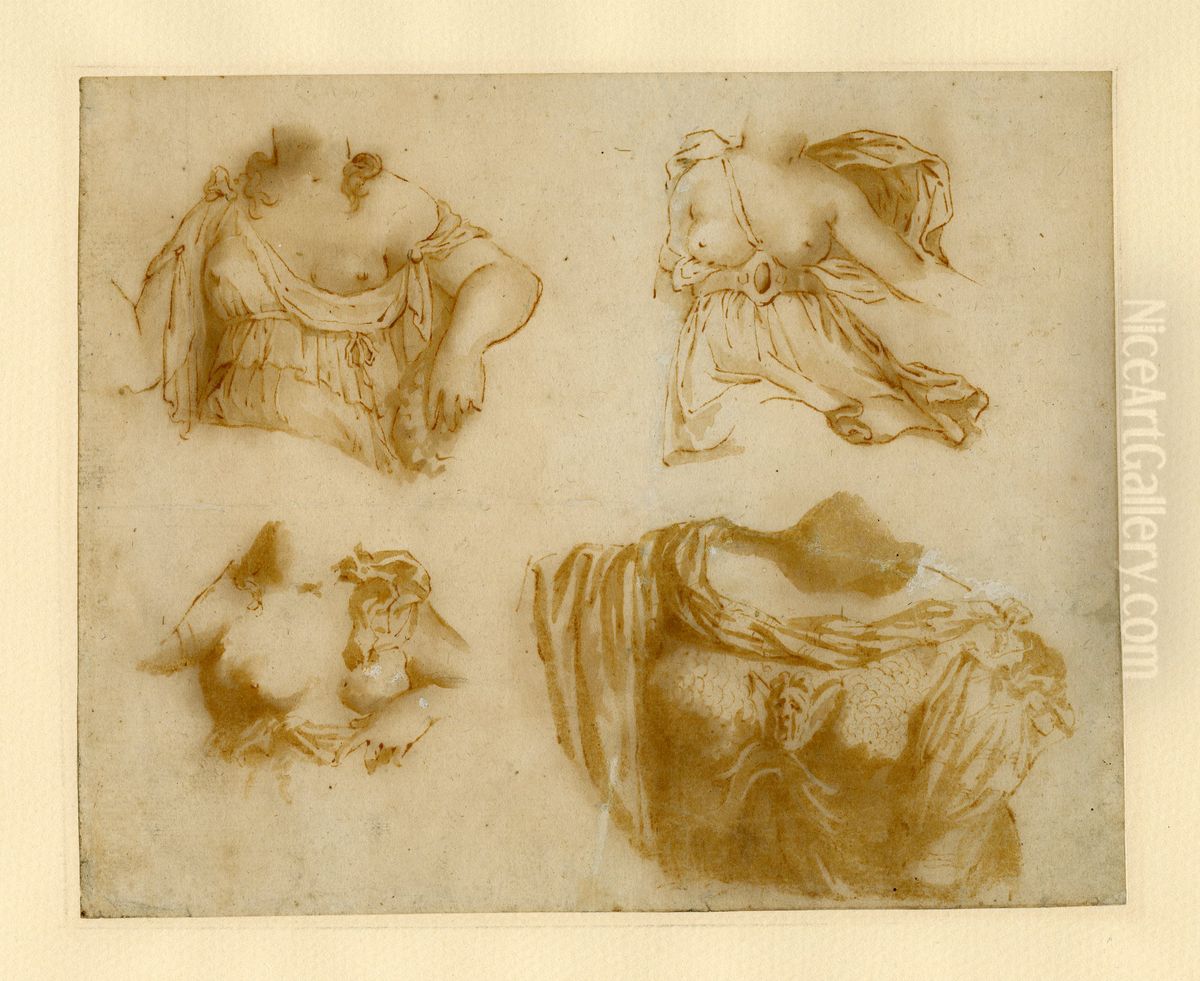 Four Studies of a Draped Torso. Oil Painting by Jan de Bisschop