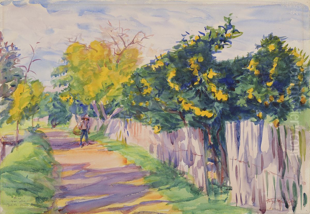 A Lane Through an Orange Grove, Orihuela Oil Painting by Dodge Macknight