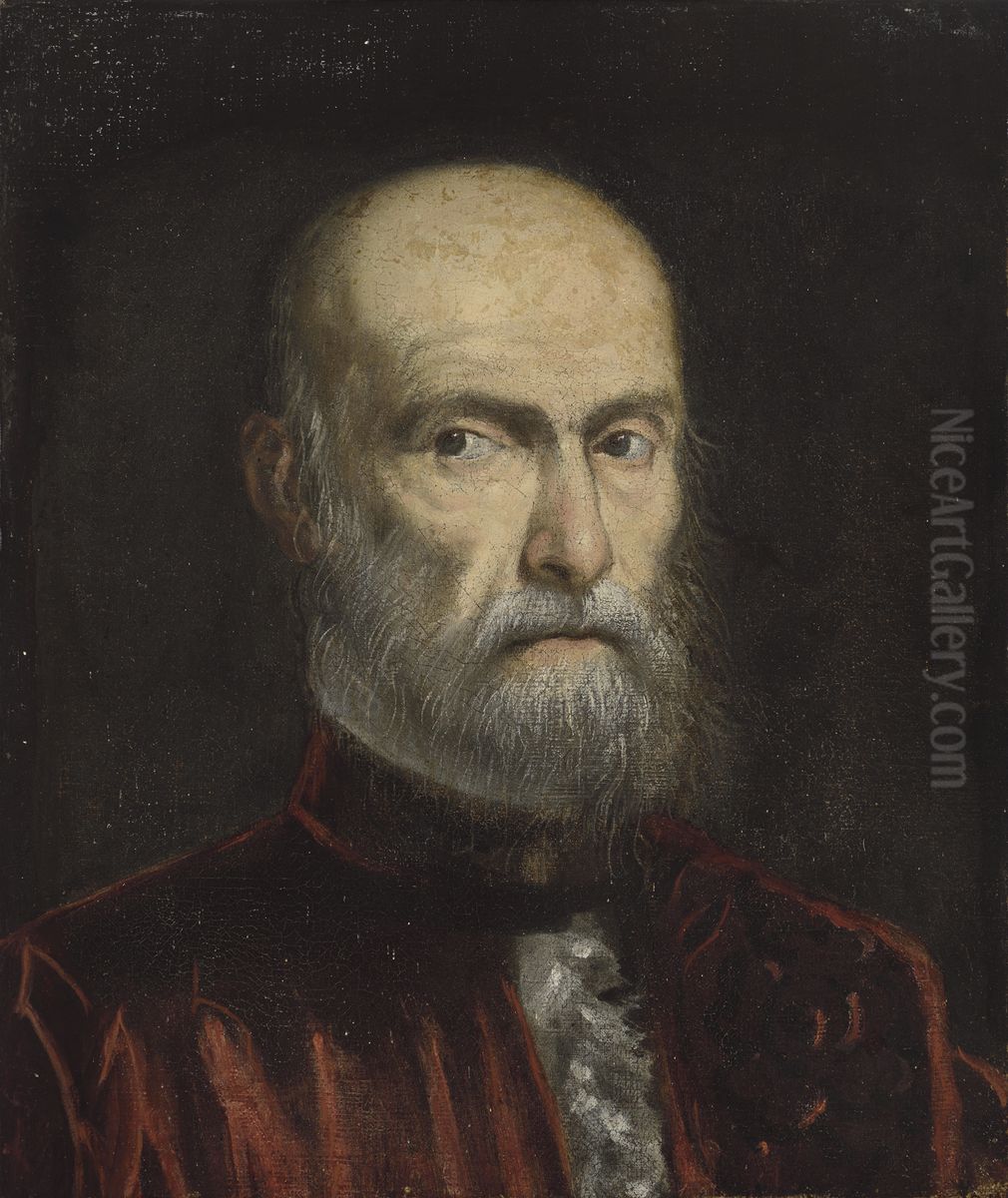A Procurator of San Marco Oil Painting by Domenico Tintoretto
