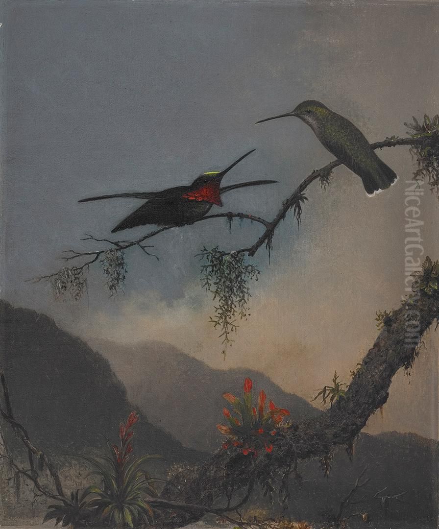 Stripe-breasted Starthroat Oil Painting by Martin Johnson Heade