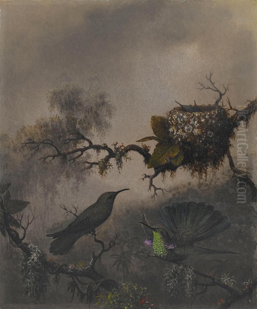 White-vented Violet-ear Oil Painting by Martin Johnson Heade