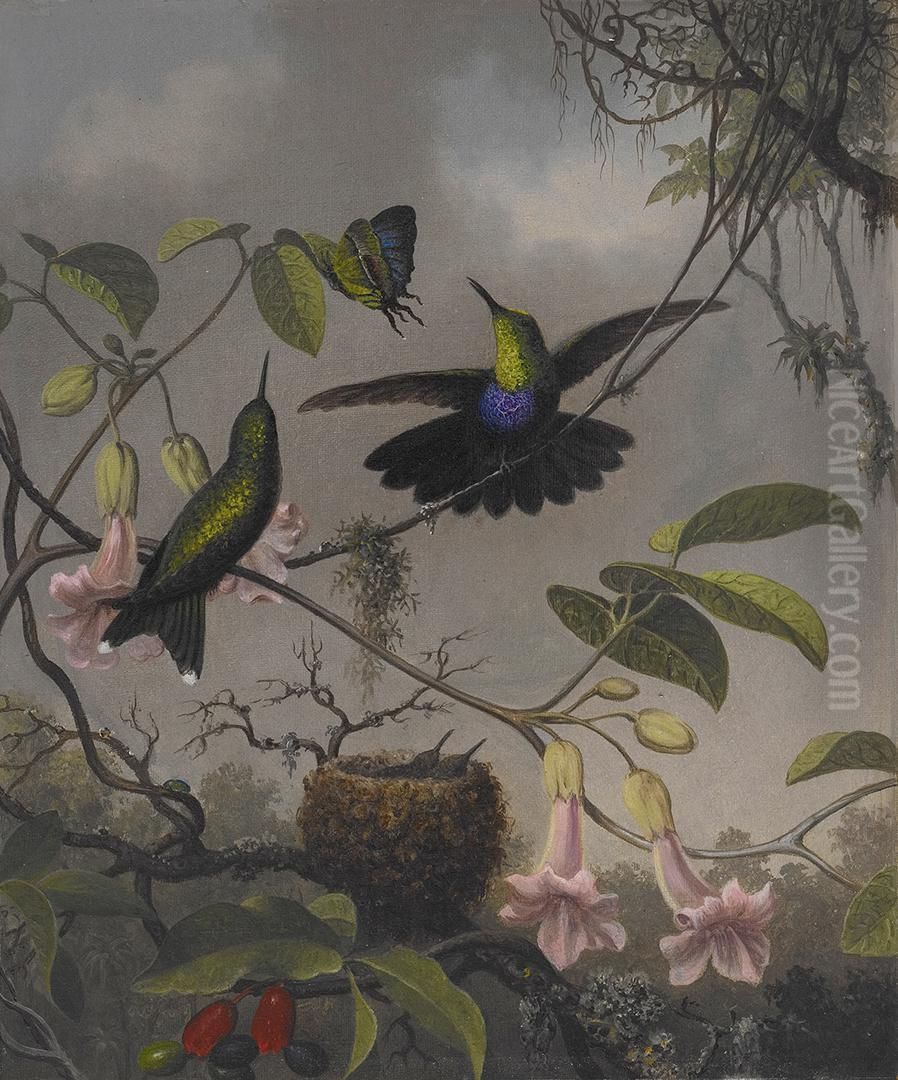 Fork-tailed Woodnymph Oil Painting by Martin Johnson Heade