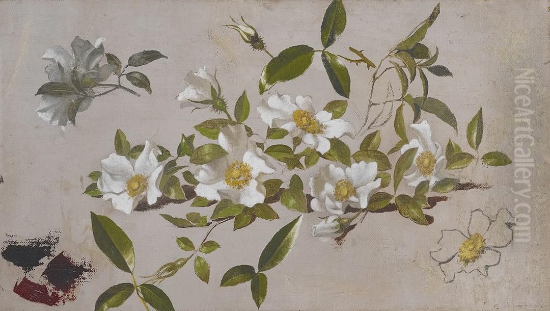 Branches of Cherokee Roses Oil Painting by Martin Johnson Heade