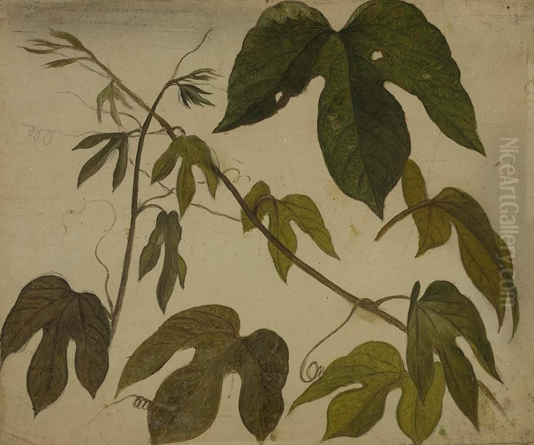 Study of Passion Flower Leaves Oil Painting by Martin Johnson Heade