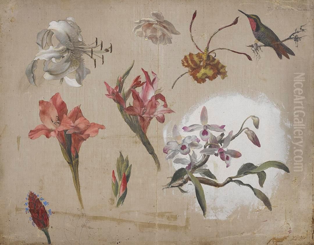 Study of Varied Flowers with a Hummingbird Oil Painting by Martin Johnson Heade