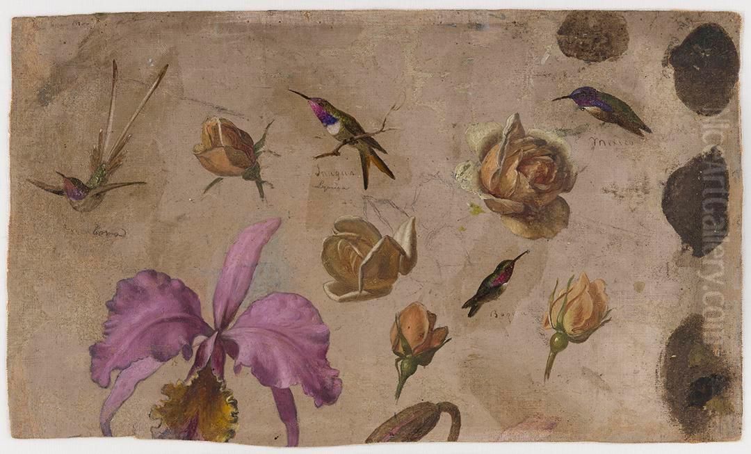 Study of Four Hummingbirds with Roses and an Orchid Oil Painting by Martin Johnson Heade
