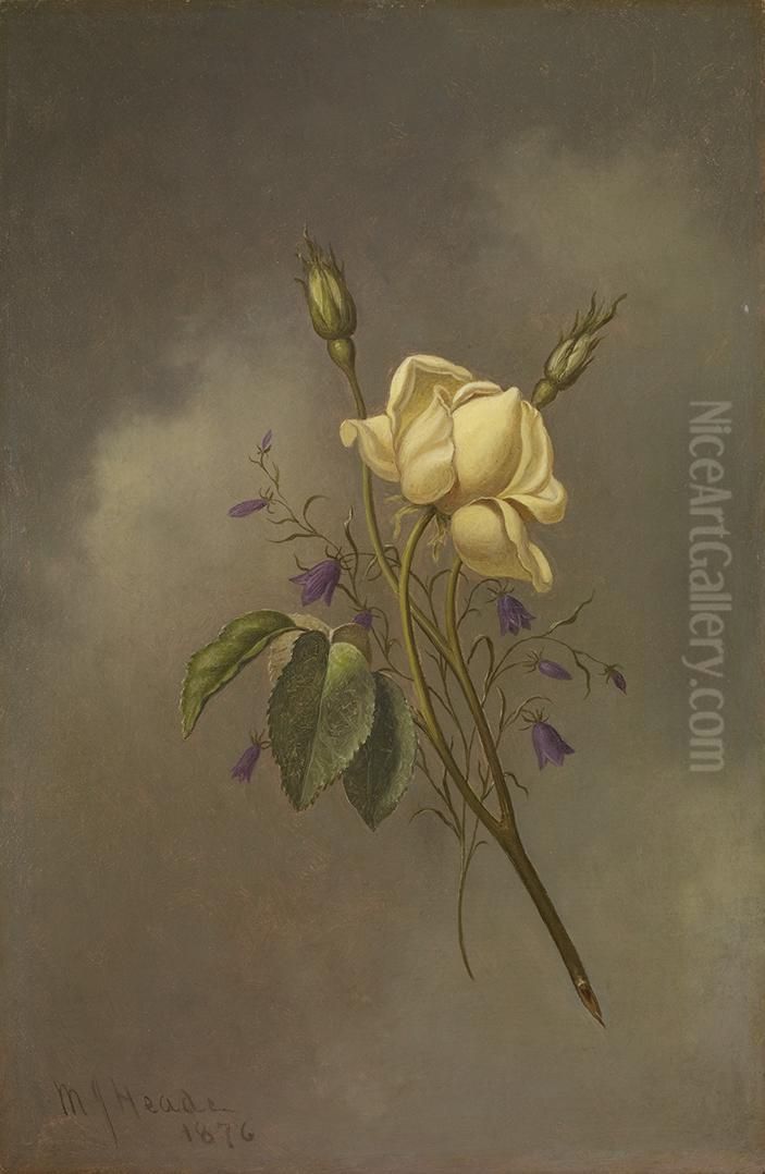 A Yellow Rose Against a Cloudy Sky Oil Painting by Martin Johnson Heade