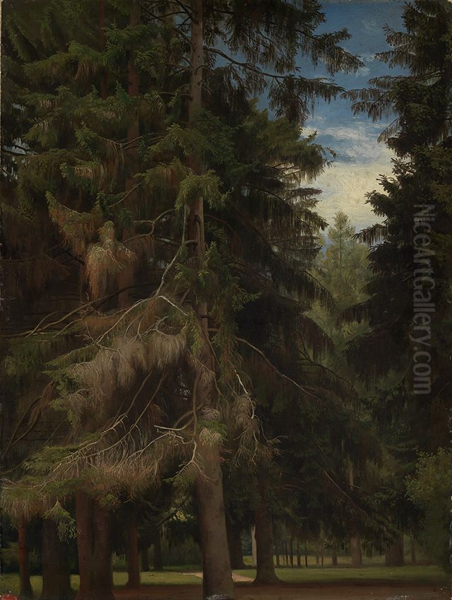 Clearing in the fir forest Oil Painting by Johann Wilhelm Schirmer