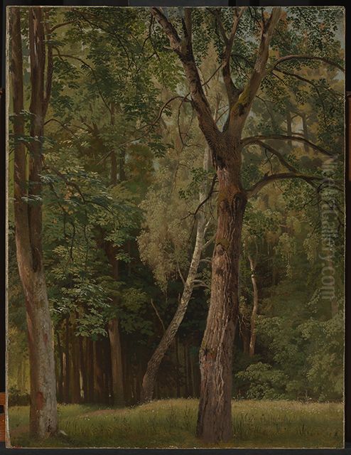 Laubwald mit Kastanien und Birken Oil Painting by Johann Wilhelm Schirmer