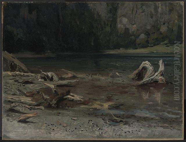 Der Feldsee Oil Painting by Emil Lugo