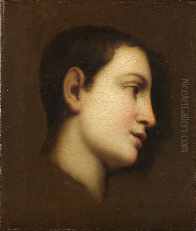 Bildnis eines Knaben Oil Painting by Anton Raphael Mengs
