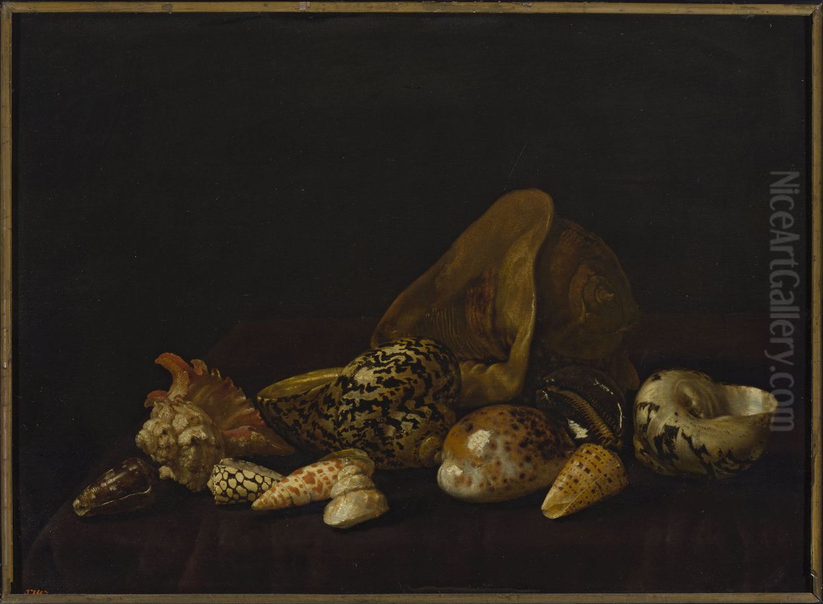 Seashells in a purple tapestry Oil Painting by Abraham Van Calraet