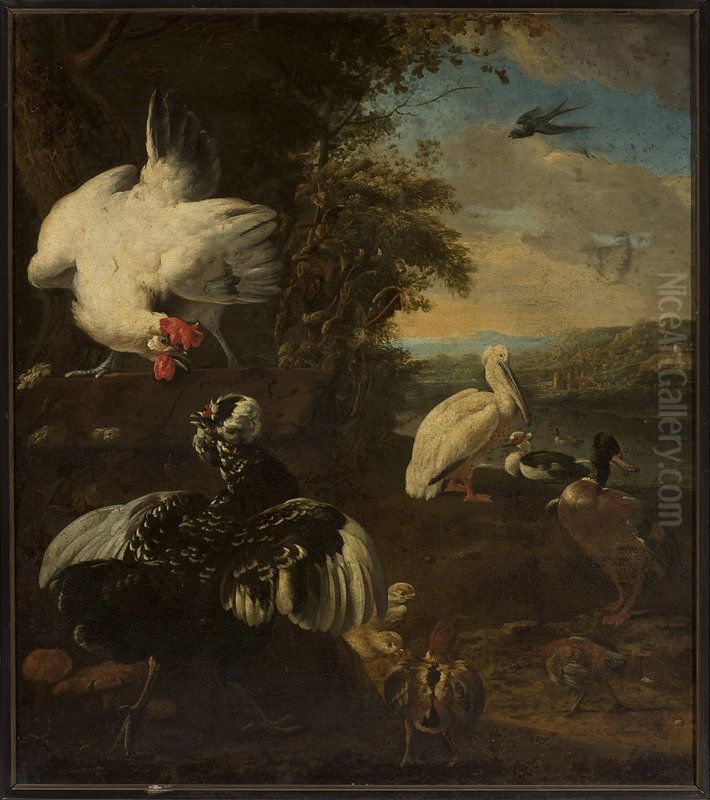 Domestic fowls Oil Painting by Melchior D'Hondecoeter