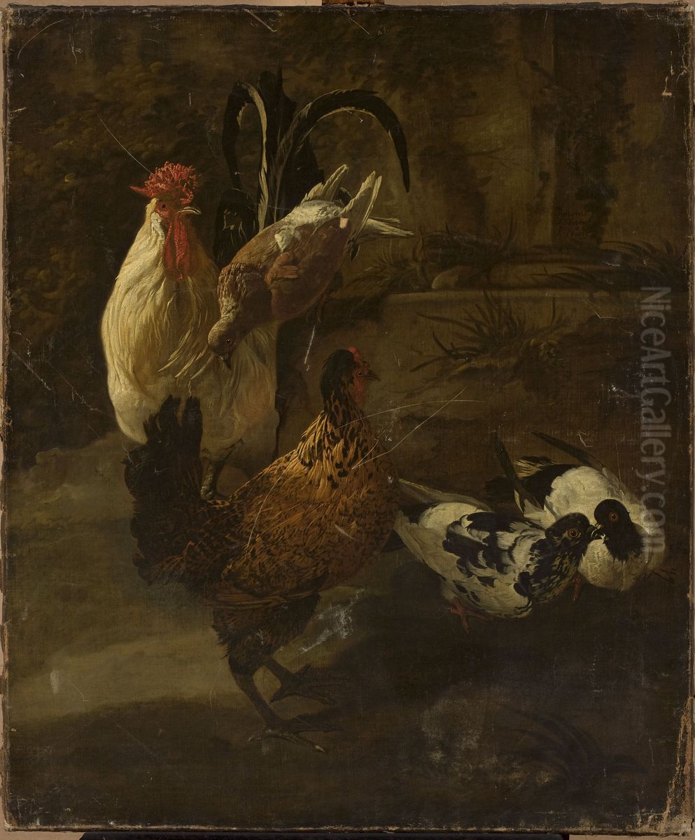 Domestic fowls Oil Painting by Jacomo Victors