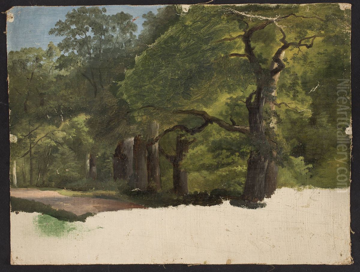 Forest landscape, sketch Oil Painting by Chrystian Breslauer