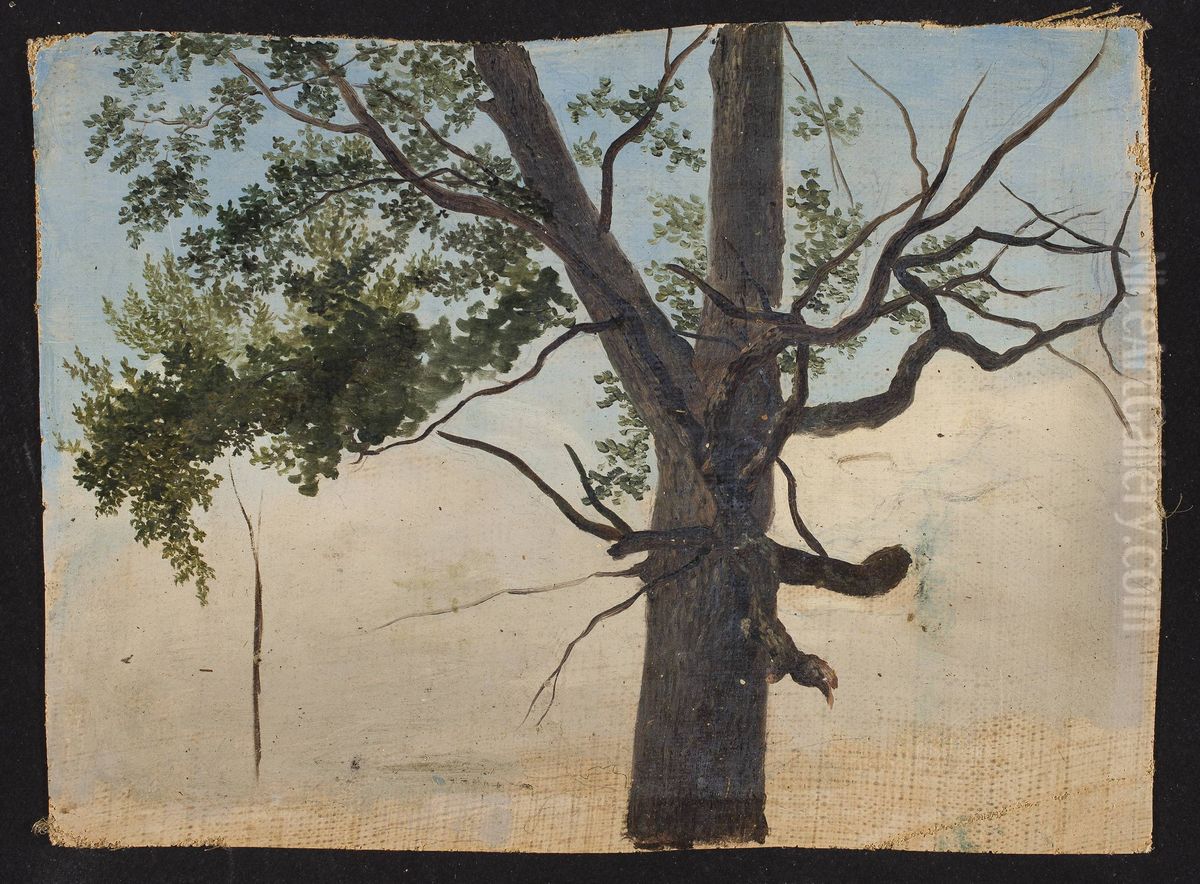 Solitary tree Oil Painting by Chrystian Breslauer