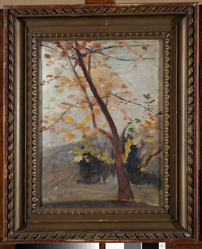 Tree sketch - Massandra. From the journey to Crimea Oil Painting by Jan Ciaglinski