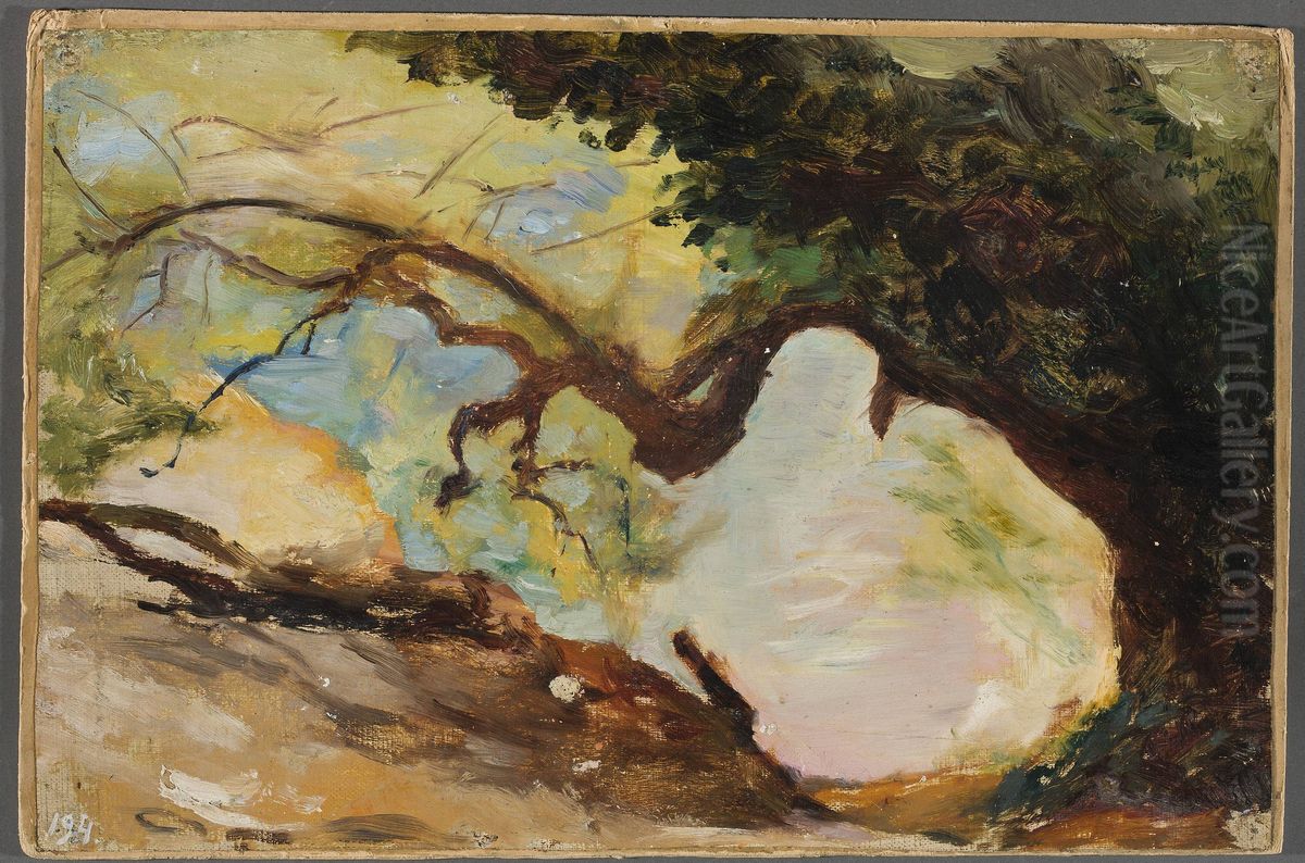 Trees in Alupka. From the journey to Crimea Oil Painting by Jan Ciaglinski