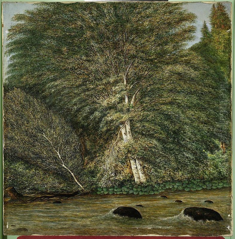 Forest nook in Ansee Oil Painting by Cyprian Lachnicki