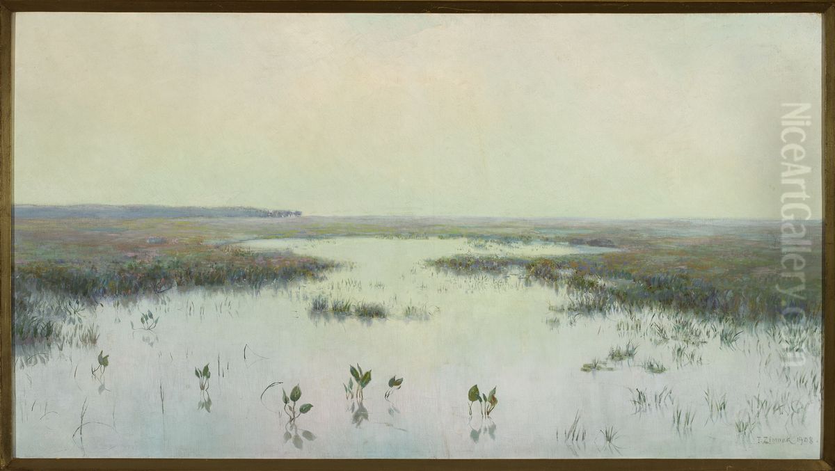 Dawn over water - Marshes Oil Painting by Teodor Ziomek