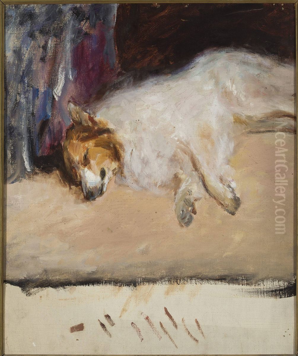 Study of a sleeping dog for the 