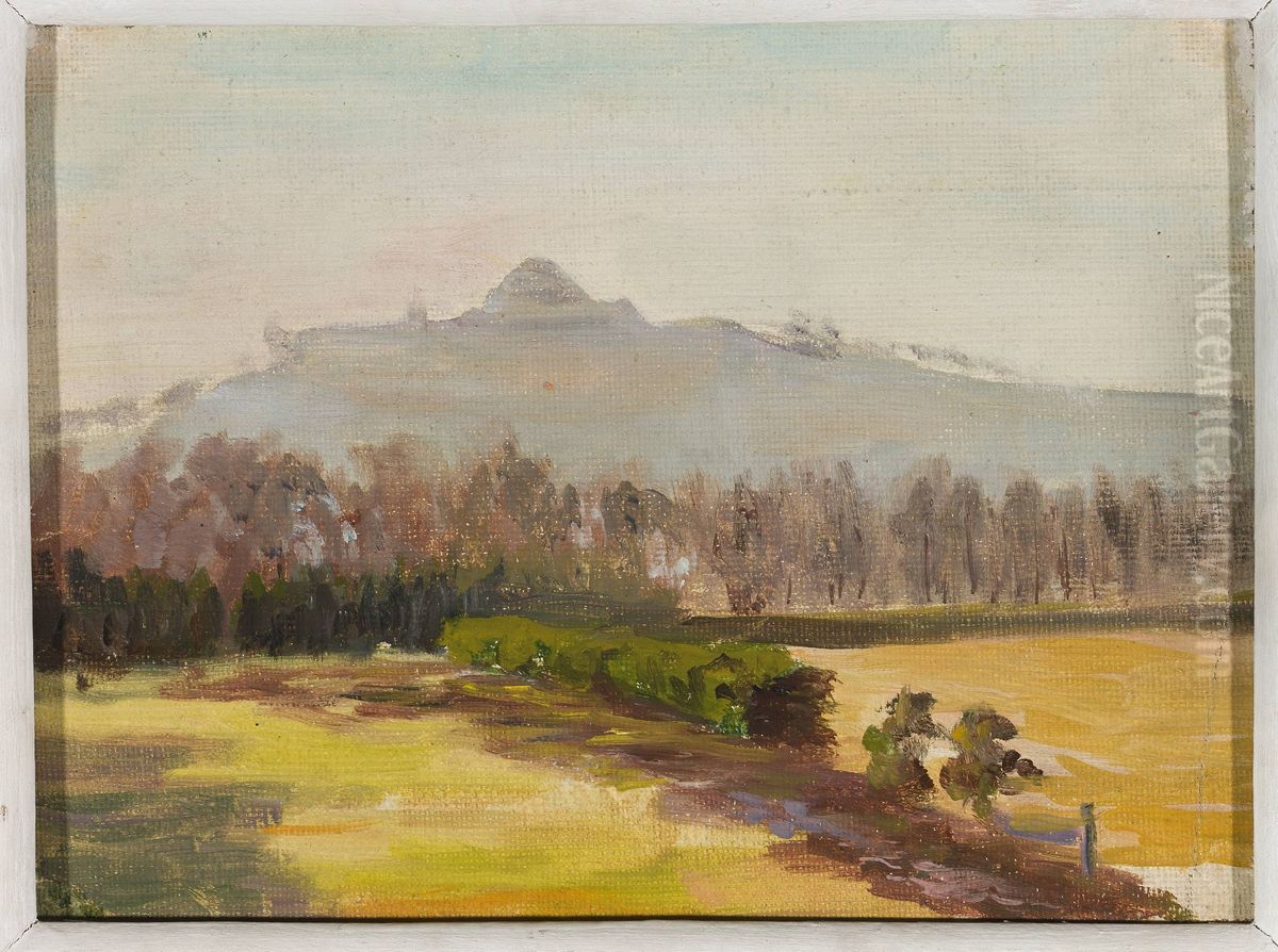 Landscape with a view of the Kosciuszko Mound Oil Painting by Michal Rouba