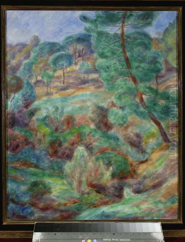 Landscape from Saint-Tropez - Stone pines Oil Painting by Jozef Pankiewicz