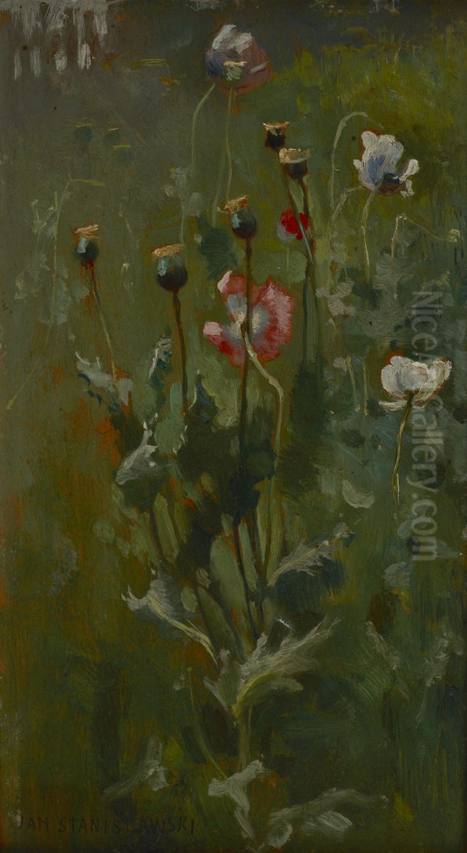 Poppies in Bloom Oil Painting by Jan Stanislawski