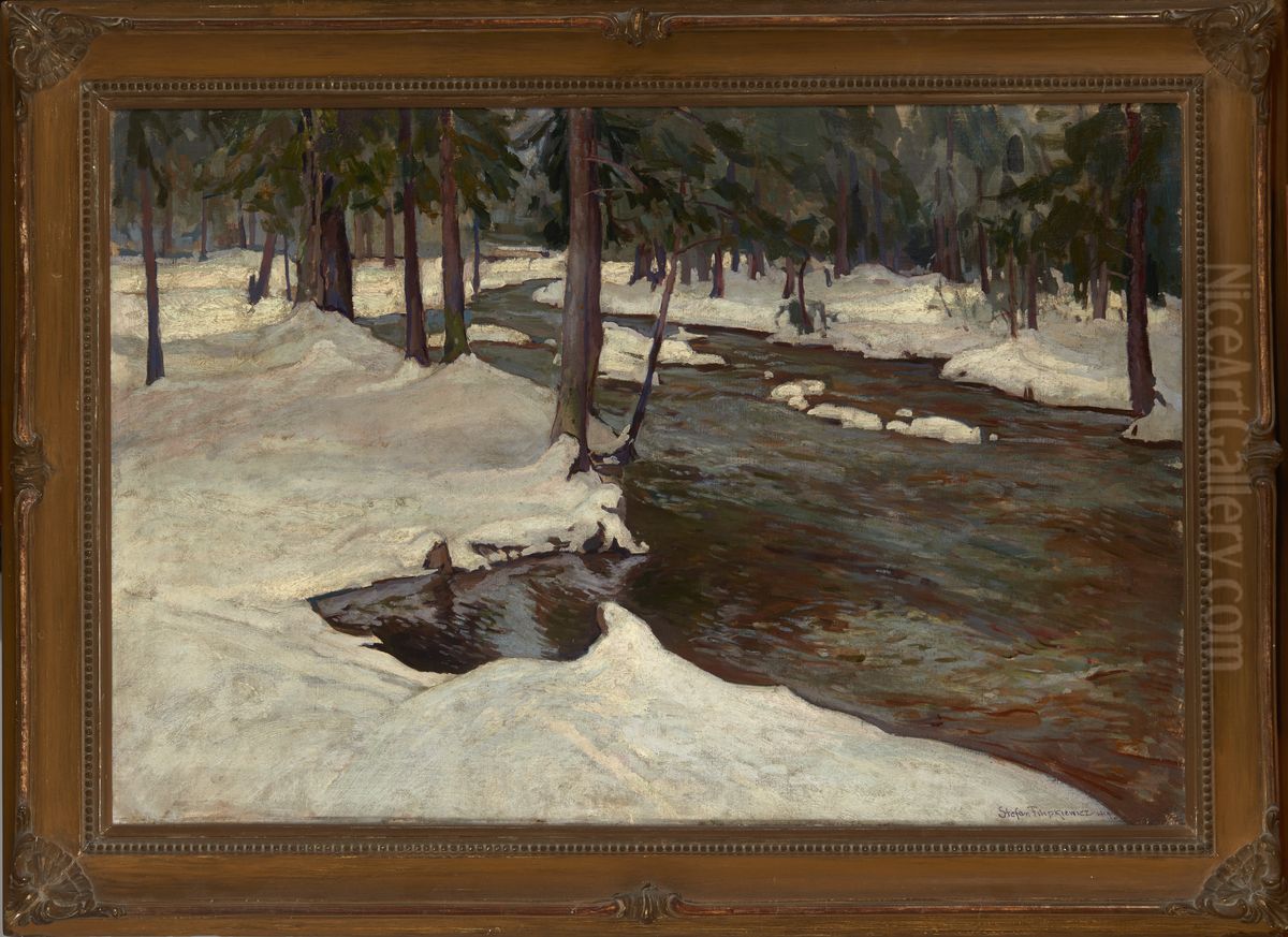 Forest Stream Oil Painting by Stefan Filipkiewicz