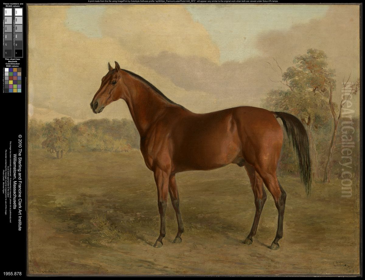 Kentucky Woodpecker Oil Painting by Edward Troye