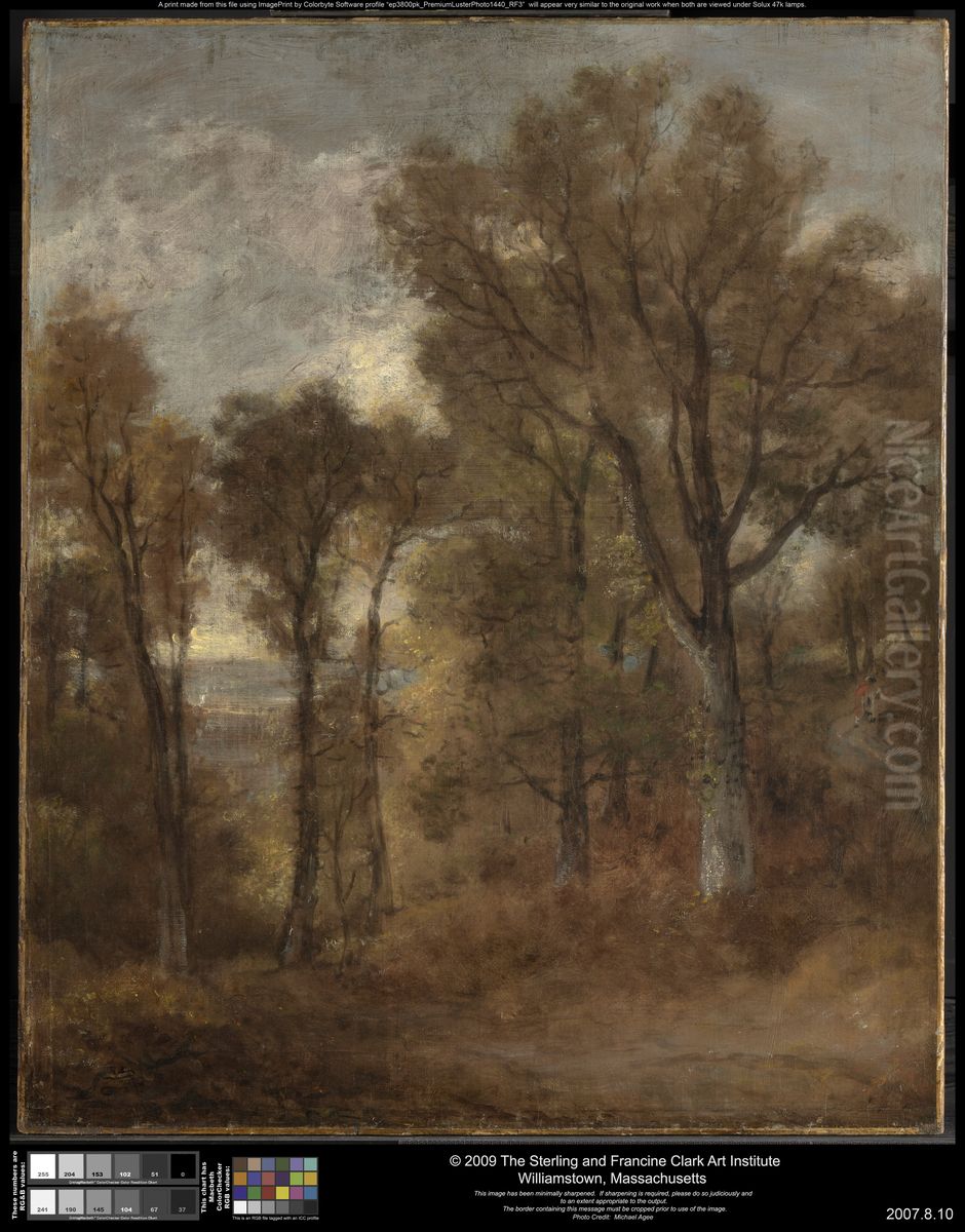 Woodland Scene Overlooking Dedham Vale Oil Painting by John Constable
