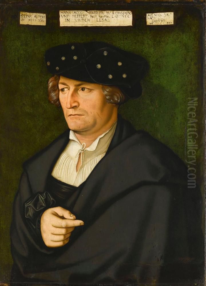 Hans Jacob Freiherr zu Morsperg und Beffert Oil Painting by Hans Baldung Grien