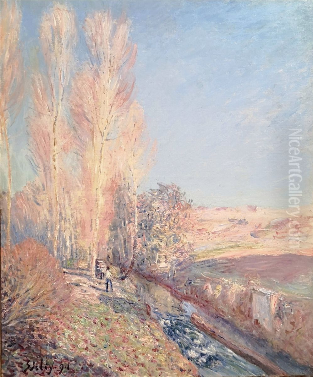 Estate di San Martino, dintorni di Moret-sur-Loing Oil Painting by Alfred Sisley