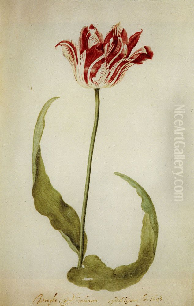 Early Brabantson Tulip Oil Painting by Judith Leyster