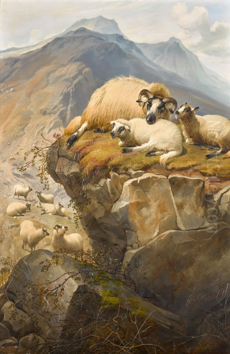 SHEEP IN THE ISLE OF SKYE Oil Painting by unknown