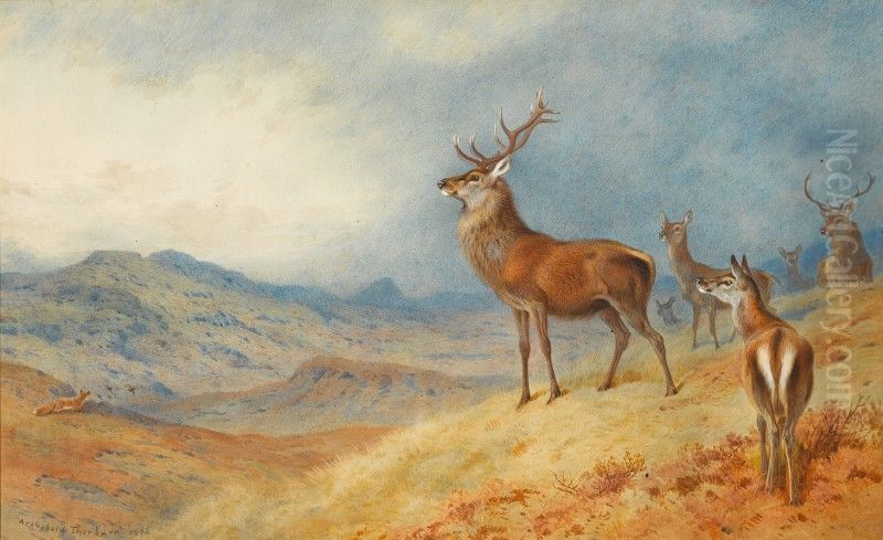 RED DEER IN A HIGHLAND LANDSCAPE Oil Painting by unknown
