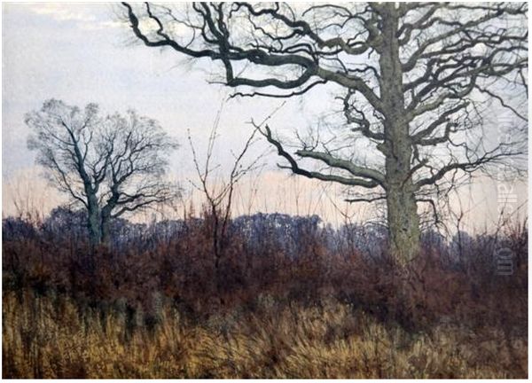 Trees in a landscape , 1885 Oil Painting by William Fraser Garden