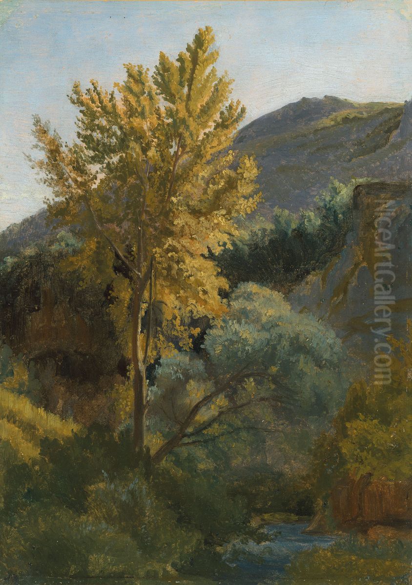 Etude d'arbre pres d'un torrent en Italie Oil Painting by unknown