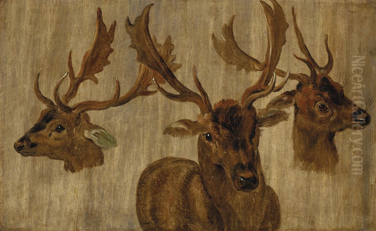 Three studies of a stag's head Oil Painting by unknown