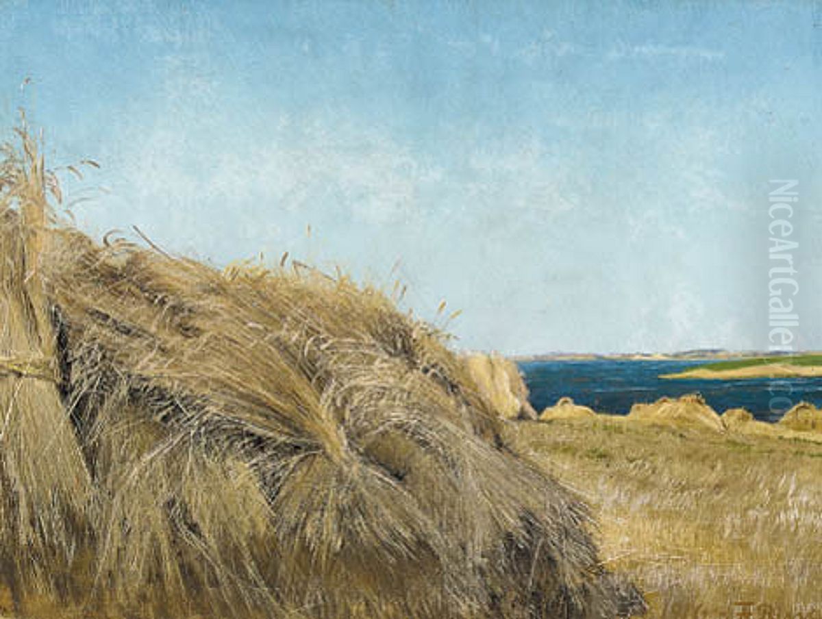 Harvest landscape in sunshine. To the left; rye in stook on the field. To the right, the dark-blue water of Roskilde fiord. Oil Painting by Laurits Andersen Ring