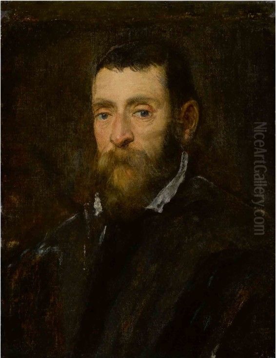 Portrait of a bearded man, possibly Prince Antonio di Santacroce of Rome Oil Painting by Jacopo Tintoretto