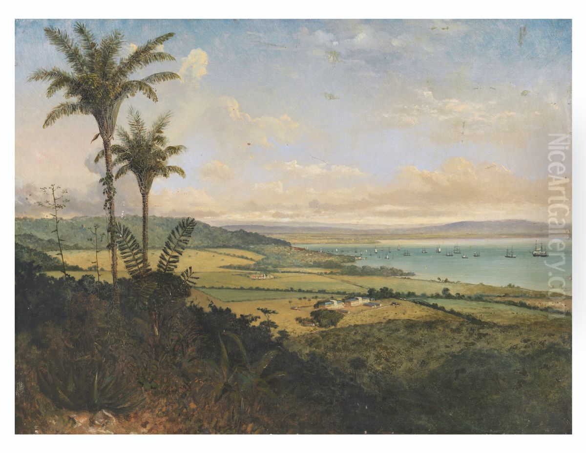 Port of Spain from Fort George Oil Painting by Michel-Jean Cazabon