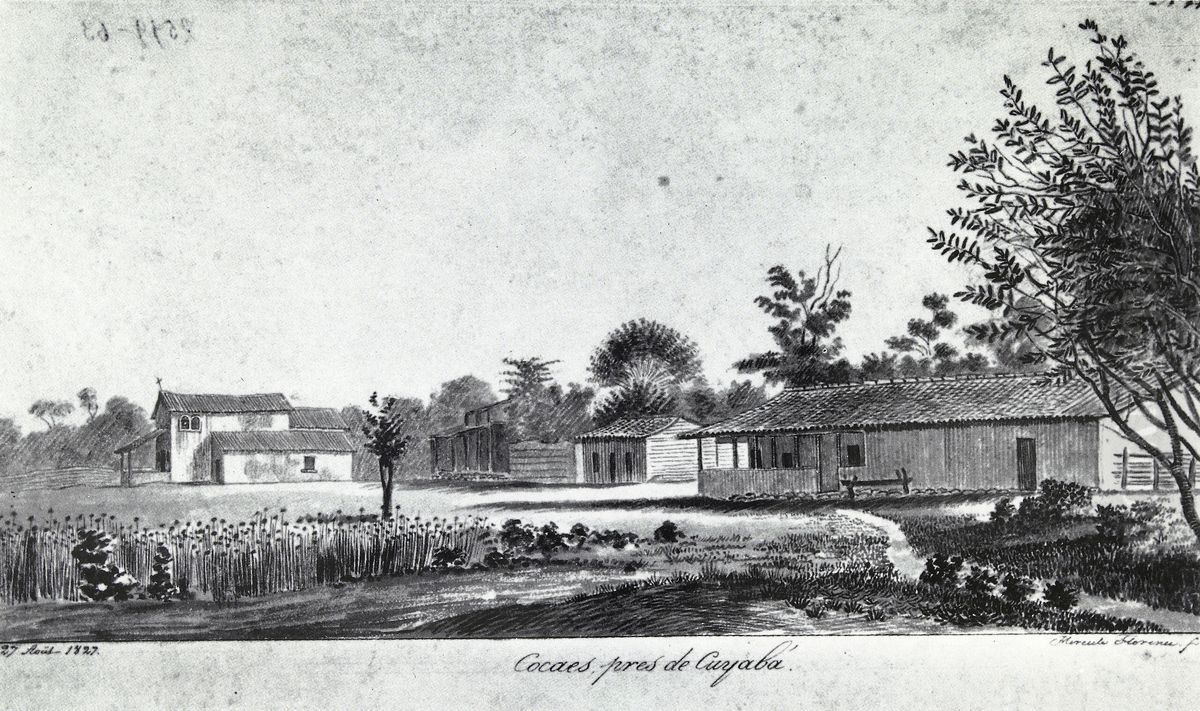 Cocaes, pres de Cuyaba. Oil Painting by Hercules Florence