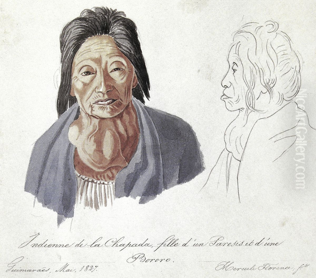 Indienne de la Chapada, fille d'um Paresis et d'une Bororo. Oil Painting by Hercules Florence